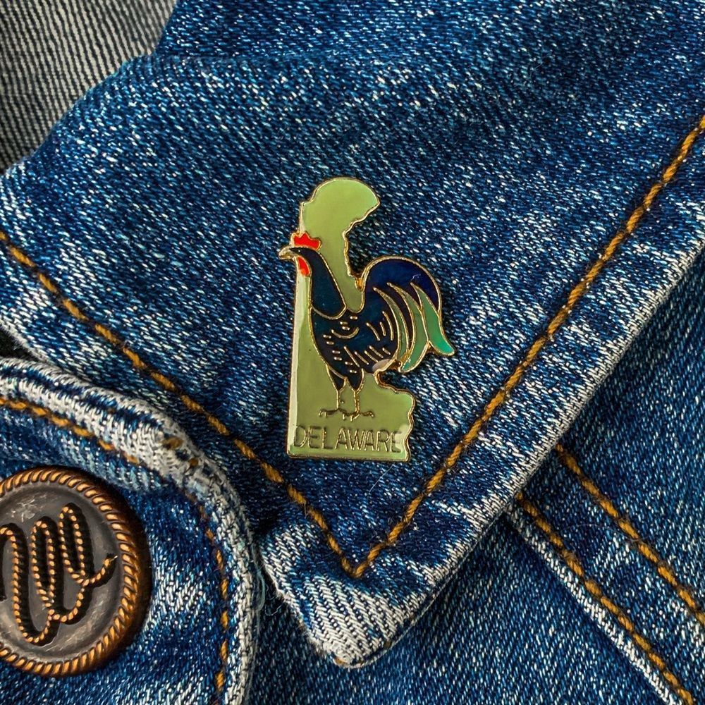 Vintage Delaware State Pin